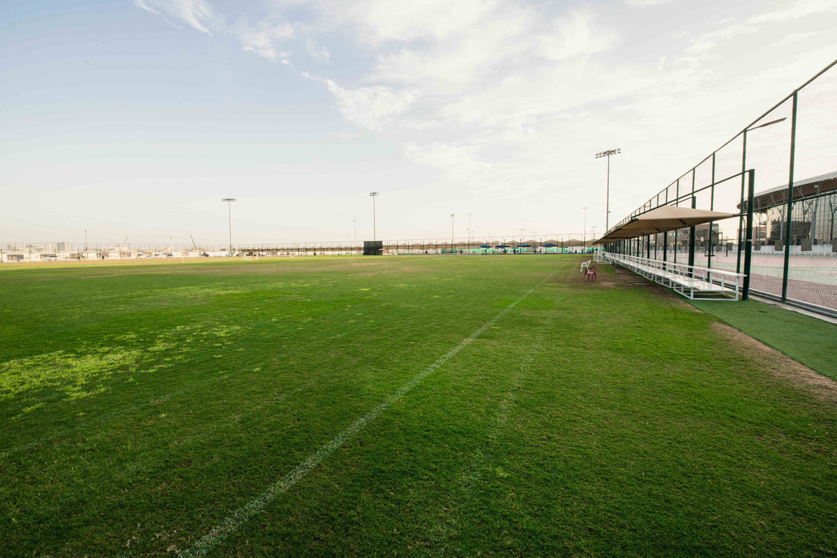 11 A-side Football Field Natural grass